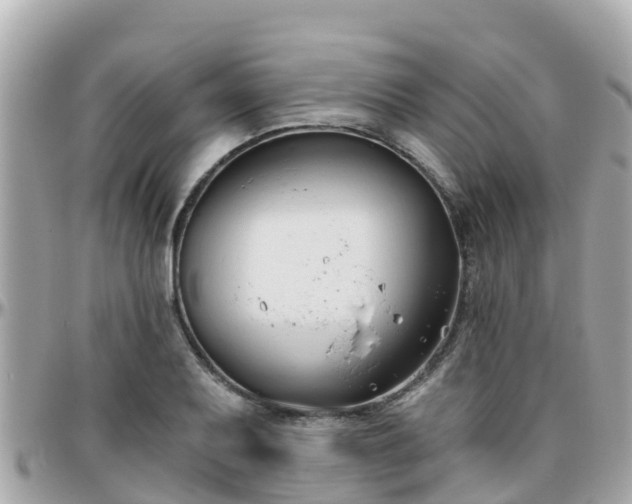 X0000096211079200801251029