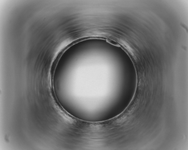 X0000096211080200801251029