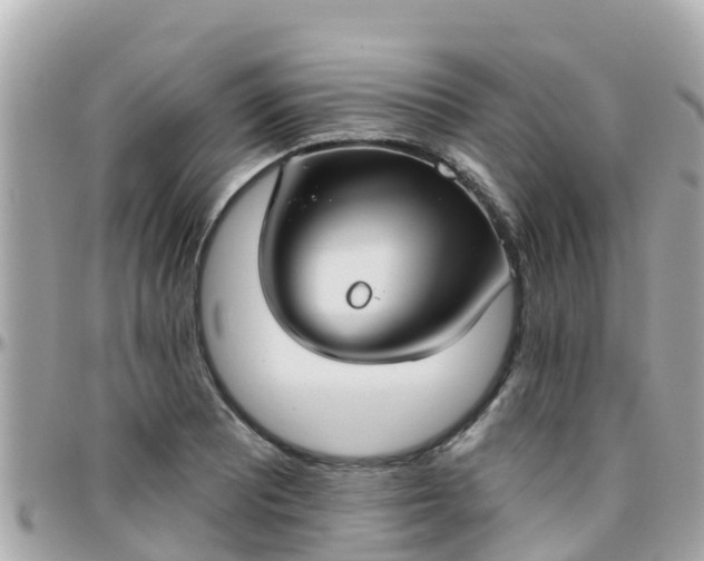 X0000096211081200801251029