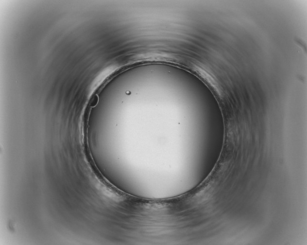 X0000096211082200801251029