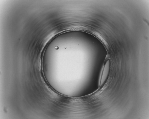 X0000096211083200801251029