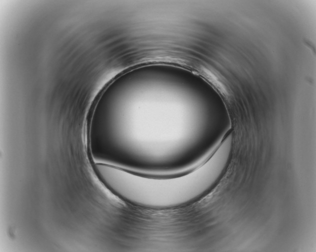 X0000096211084200801251029