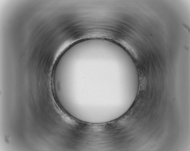 X0000096211086200801251029