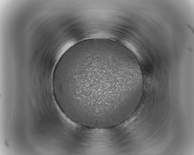 X0000096211087200801251029