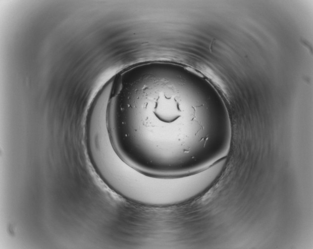 X0000096211088200801251029