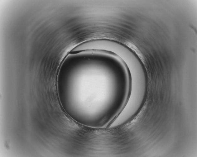 X0000096211089200801251029