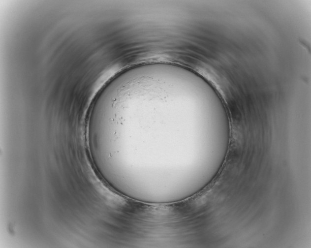 X0000096211090200801251029