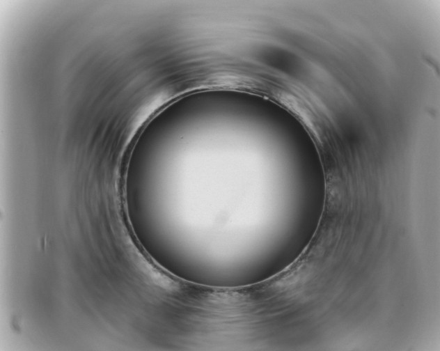 X0000096211091200801251029