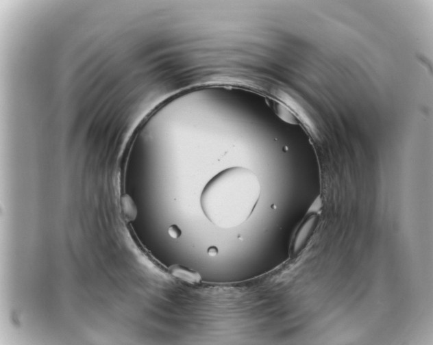 X0000096211092200801251029