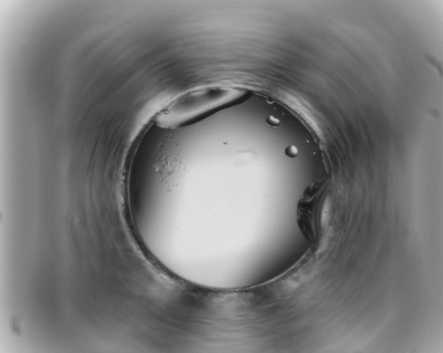 X0000096211093200801251029