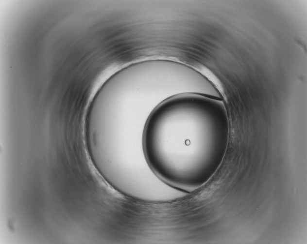 X0000096211096200801251029