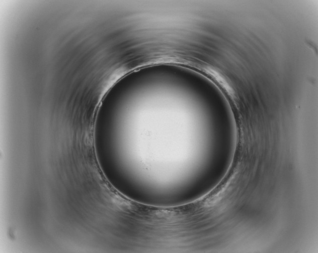 X0000096211097200801251029