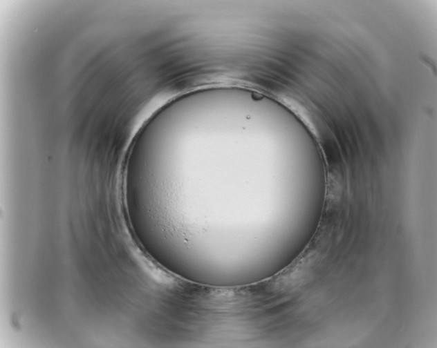 X0000096211098200801251029