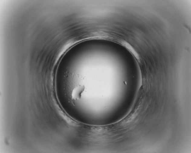 X0000096211099200801251029