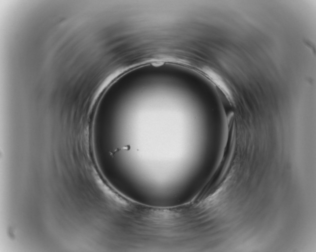 X0000096211100200801251029