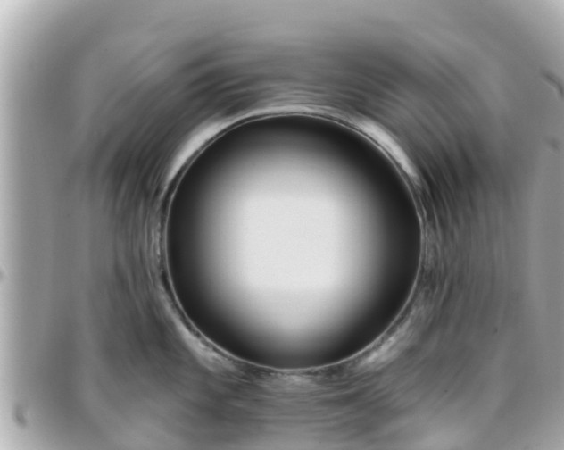 X0000096211101200801251029