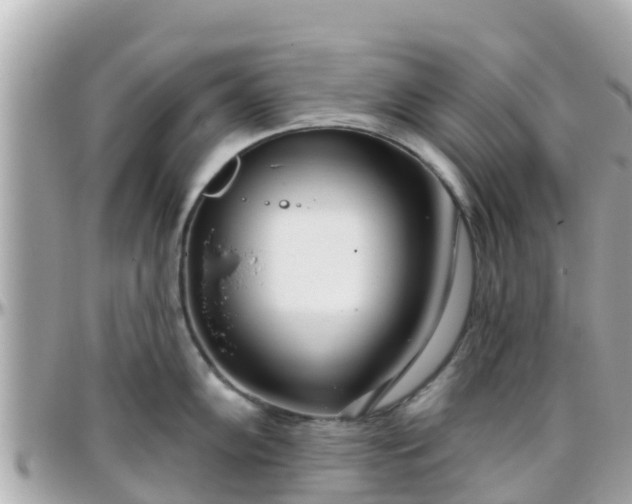 X0000096211102200801251029