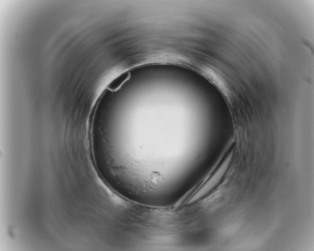 X0000096211103200801251029