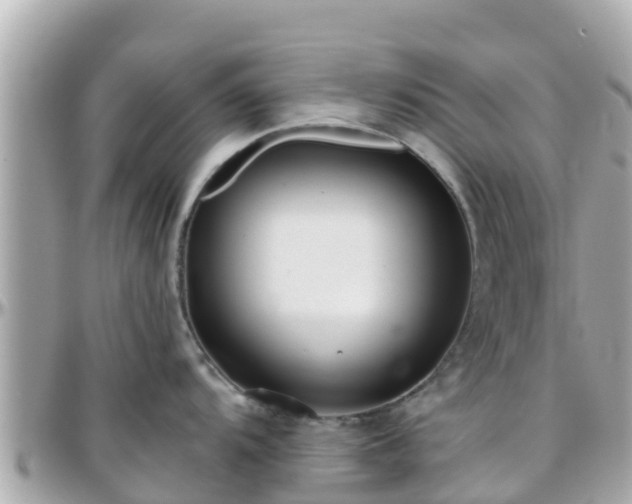 X0000096211104200801251029