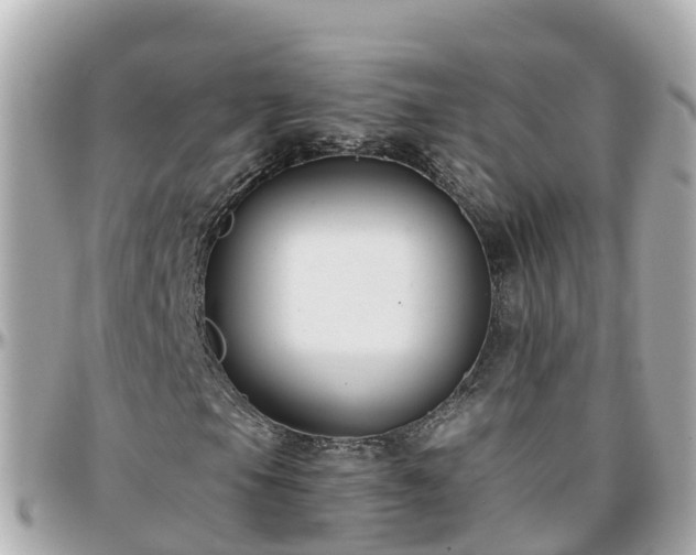 X0000096211105200801251028