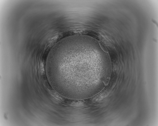 X0000096211106200801251028