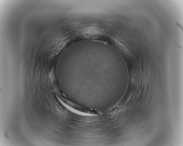 X0000096211108200801251028