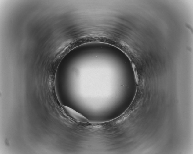 X0000096211110200801251028