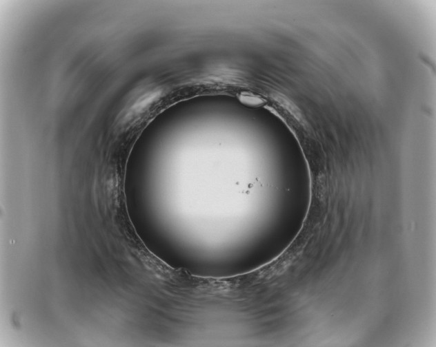 X0000096211111200801251028