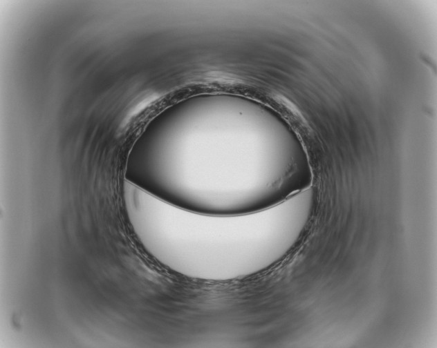 X0000096211112200801251028