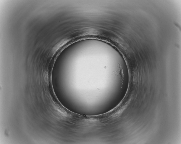 X0000096211113200801251028