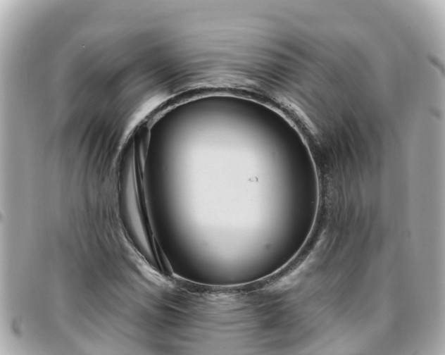 X0000096211114200801251028