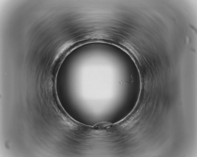 X0000096211115200801251028