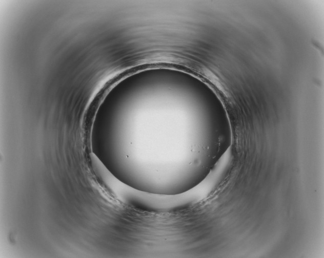 X0000096211116200801251028