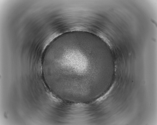 X0000096211117200801251028