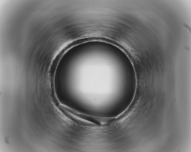 X0000096211118200801251028