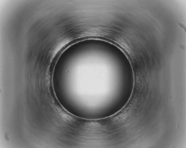 X0000096211119200801251028