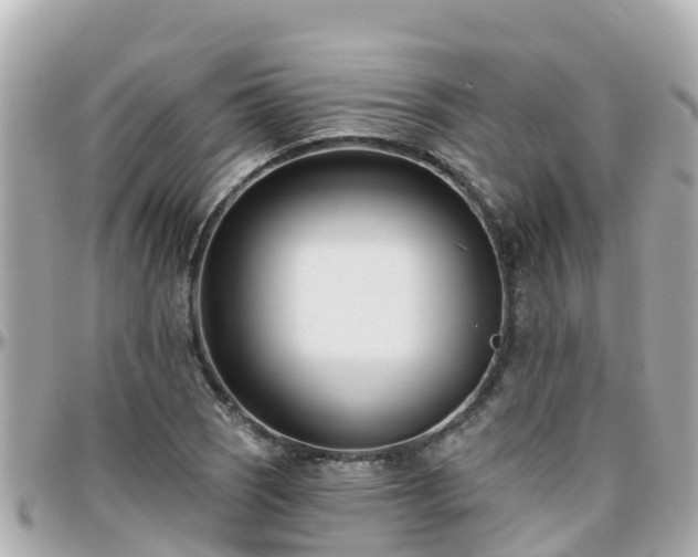 X0000096211121200801251028