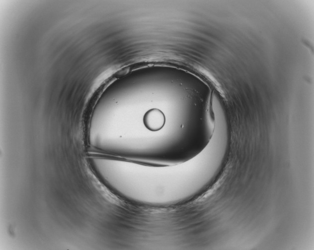 X0000096211122200801251028