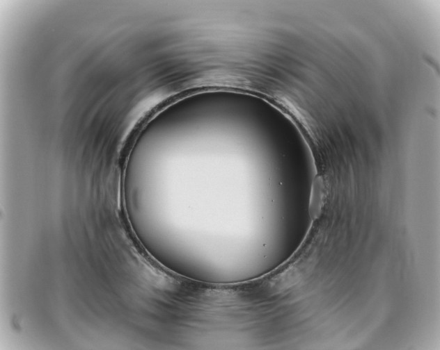 X0000096211123200801251029