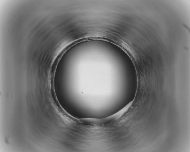 X0000096211124200801251029