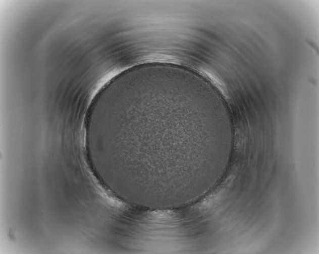 X0000096211125200801251029