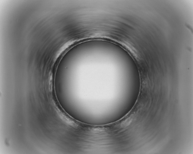 X0000096211126200801251029