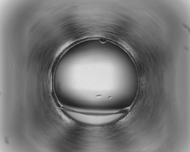 X0000096211127200801251029