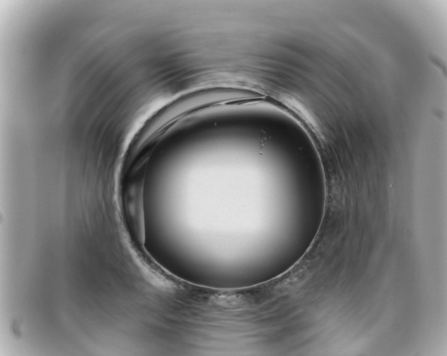 X0000096211128200801251029