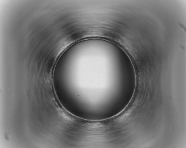 X0000096211129200801251029