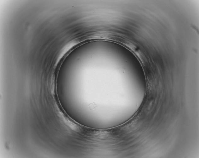 X0000096211131200801251029