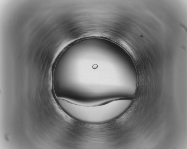 X0000096211132200801251029