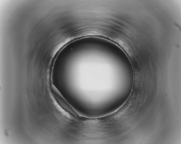 X0000096211134200801251029