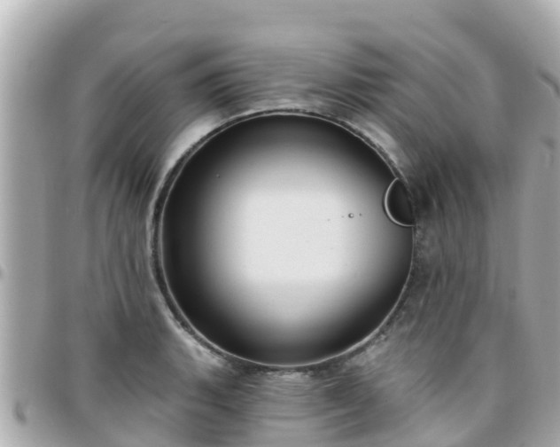 X0000096211135200801251029