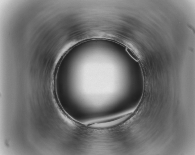 X0000096211136200801251029